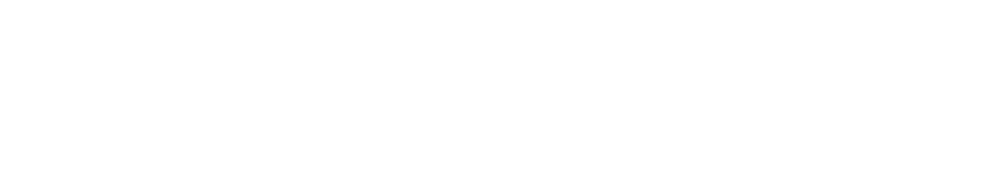 Next Pillar Capital